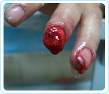 ng电子游戏(中国集团)官方网站