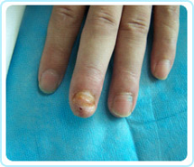 ng电子游戏(中国集团)官方网站