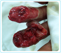 ng电子游戏(中国集团)官方网站