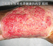 ng电子游戏(中国集团)官方网站