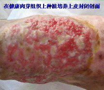 ng电子游戏(中国集团)官方网站