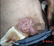 ng电子游戏(中国集团)官方网站