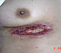 ng电子游戏(中国集团)官方网站