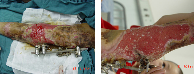 ng电子游戏(中国集团)官方网站