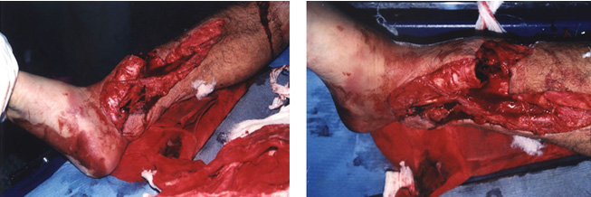 ng电子游戏(中国集团)官方网站