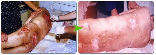 ng电子游戏(中国集团)官方网站