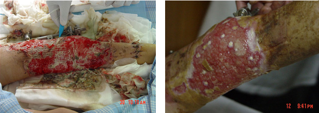 ng电子游戏(中国集团)官方网站