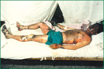 ng电子游戏(中国集团)官方网站