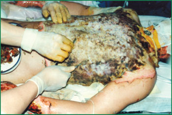 ng电子游戏(中国集团)官方网站