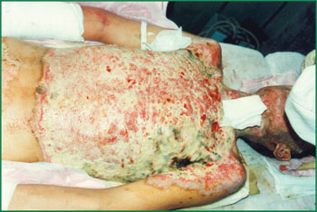 ng电子游戏(中国集团)官方网站