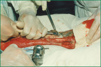 ng电子游戏(中国集团)官方网站