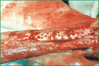 ng电子游戏(中国集团)官方网站