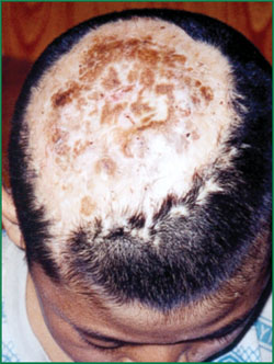 ng电子游戏(中国集团)官方网站