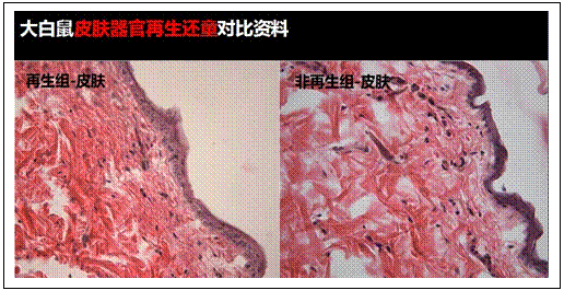 ng电子游戏(中国集团)官方网站